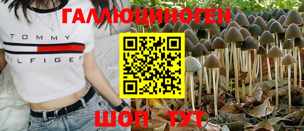 Псилоцибиновые грибы Psilocybine cubensis Туймазы