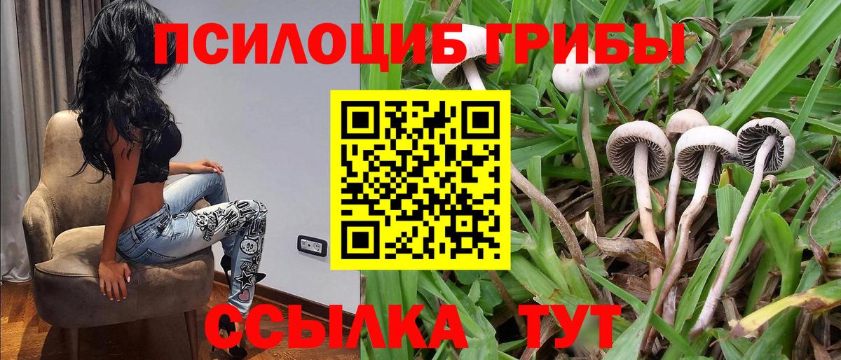 купить наркоту  Вход с VPN  Туймазы  Галлюциногенные грибы MAGIC MUSHROOMS 